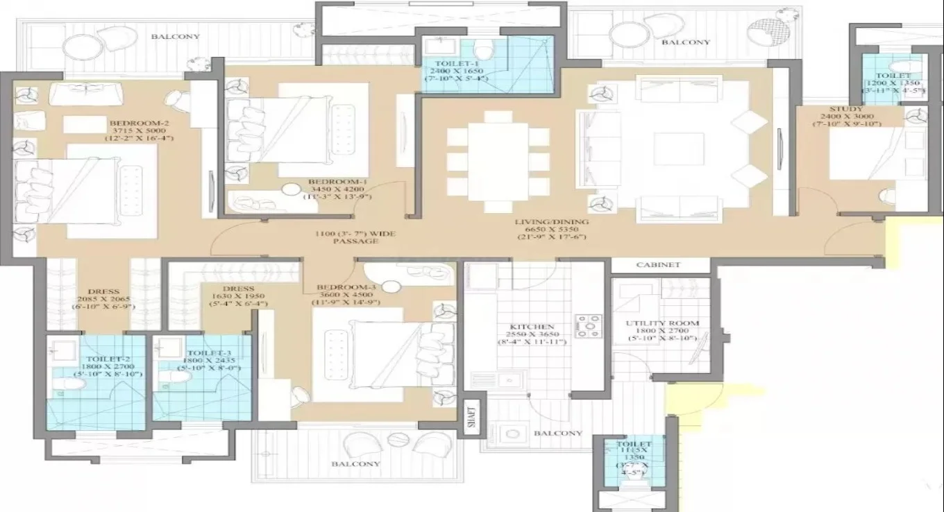BHK Type 1